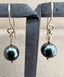 Saltwater Black Tahitian Pearl Earrings with Earwire in Gold